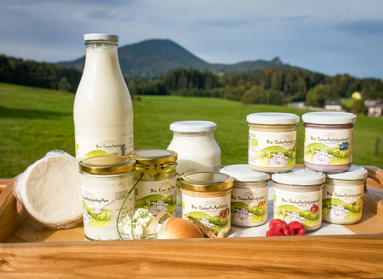 Produkte - Schafmilch Ließ - Schafmilchprodukte-Regional aus Salzburg